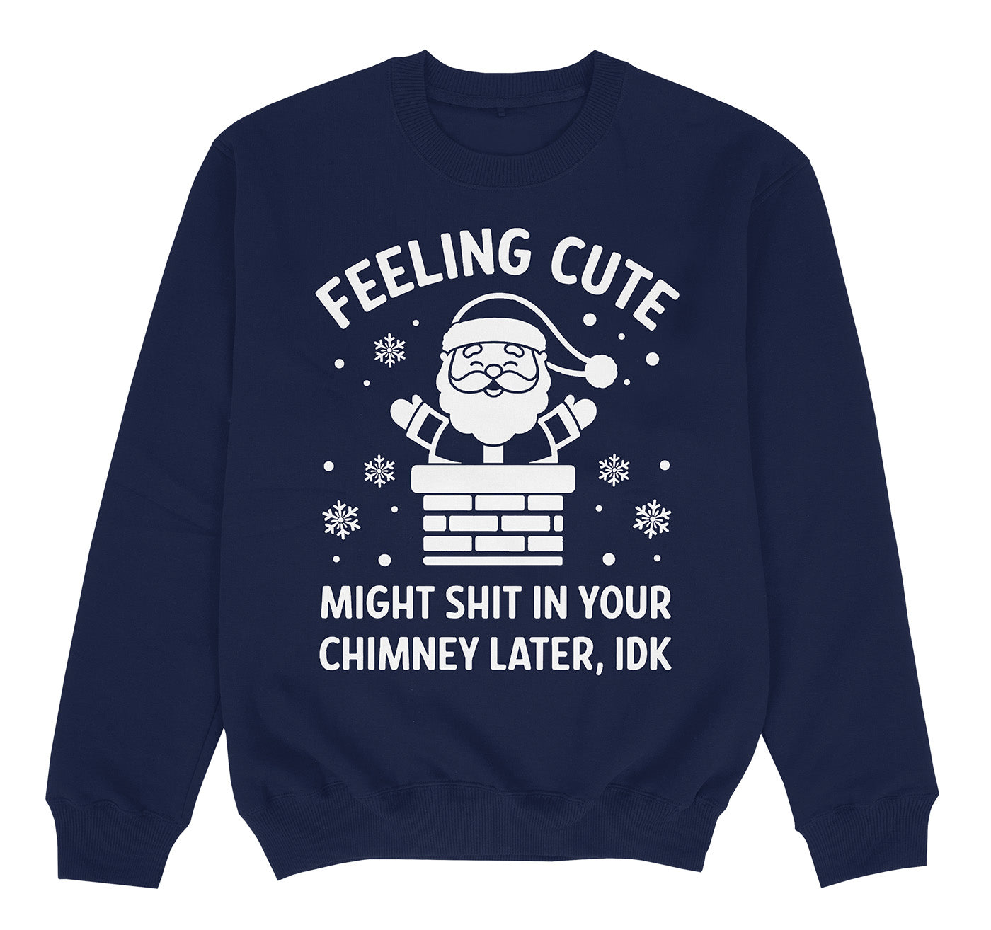 FEELING CUTE - Premium Sweater